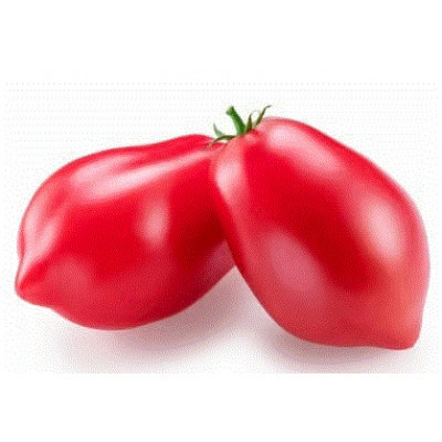 Lucullus Tomato