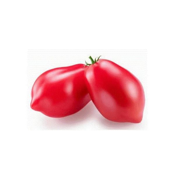 Lucullus Tomato