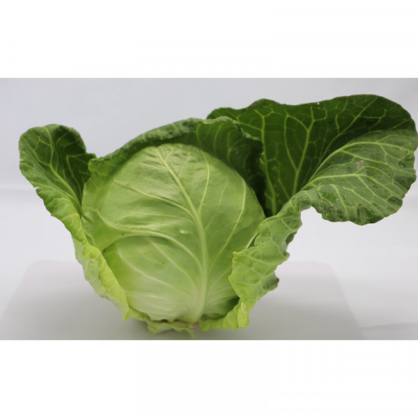 Zelí hlávkové bílé 1 kg