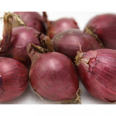 Cibule červená (balení 1kg)