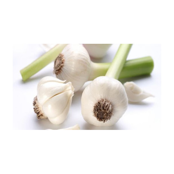 Česnek (svazek váha cca 100g)