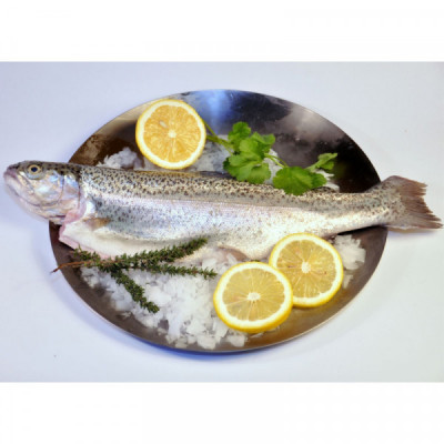 Pstruh duhový čerstvý, kuchaný s hlavou VAC (kus cca 400g)