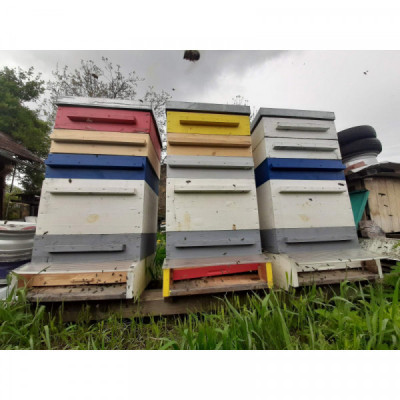 Med - květový, vícedruhový