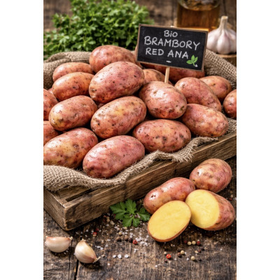 BIO brambory Red Anna | Biodvorek Lačňákovi