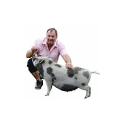 Řeznictví - uzenářství Arnošt Dvořák