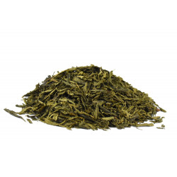 Julia  Krčmářová